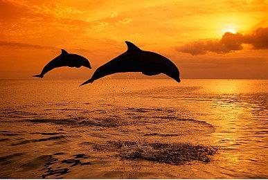 城镇建设策略游戏《世外之地》Steam页面上线 2023年Q1发售