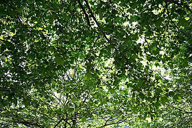 《星尘战线》8月30日Steam抢测 牌组构建太空探索